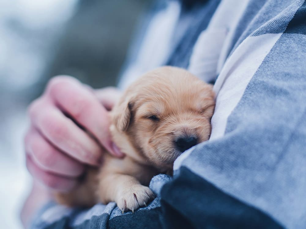lydia torrey AovflqCt9Ws unsplash